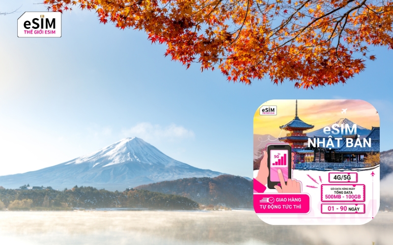 An eSIM for Japan is the essential gateway to navigating a modern, digital-first Japan